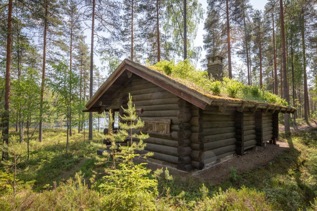 hirsinen sauna, jonka katto kasvaa metsäkunttaa ulkoa päin